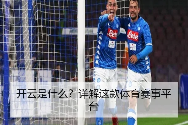 开云是什么？详解这款体育赛事平台