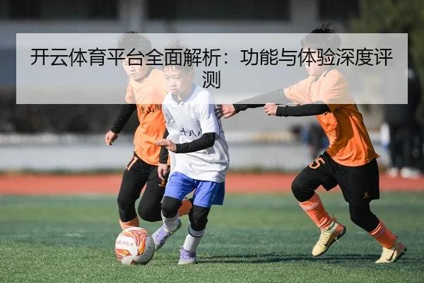 开云体育平台全面解析：功能与体验深度评测