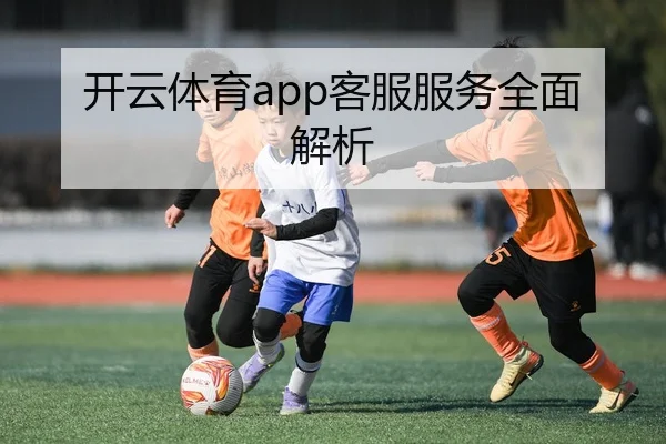 开云体育app客服服务全面解析