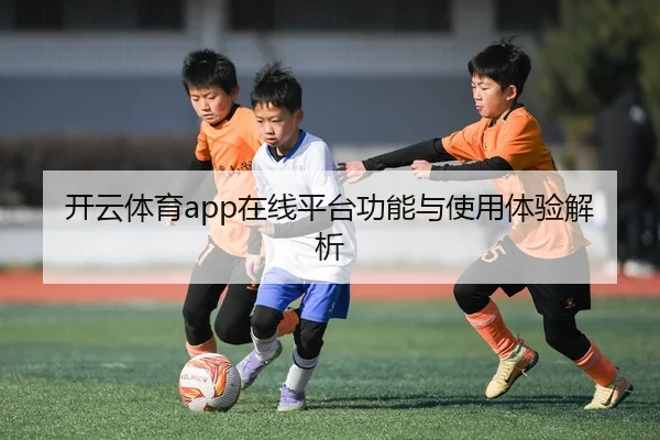 开云体育app在线平台功能与使用体验解析