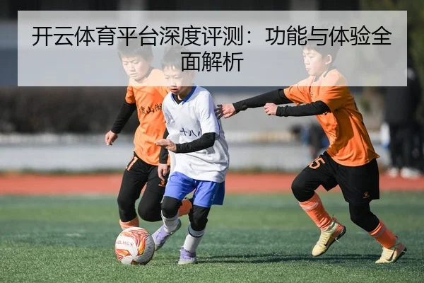 开云体育平台深度评测：功能与体验全面解析