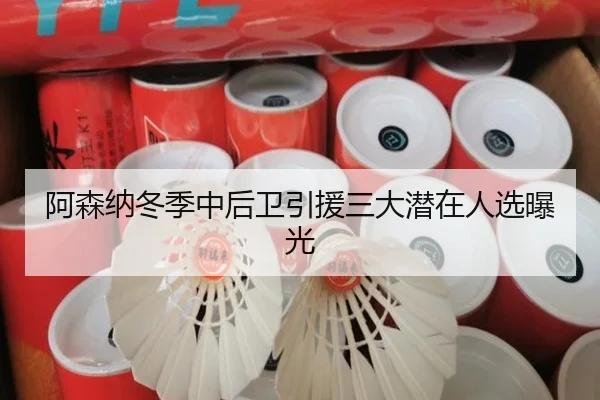 阿森纳冬季中后卫引援三大潜在人选曝光